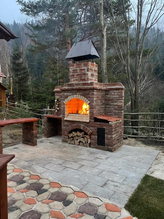 Villa Затишна De Luxe Mykulychyn Εξωτερικό φωτογραφία